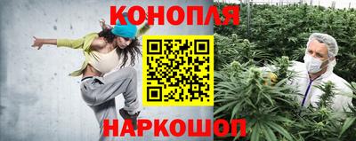 стаф Тара