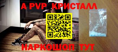 стаф Тара