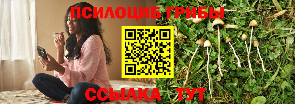 Псилоцибиновые грибы прущие грибы  что такое наркотик  Ногинск  Вход с VPN 